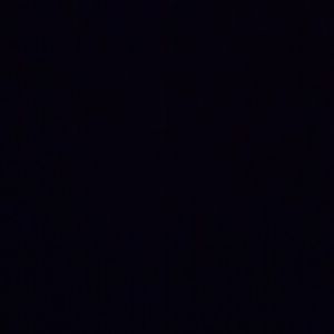 Meet your Posher, Gavin